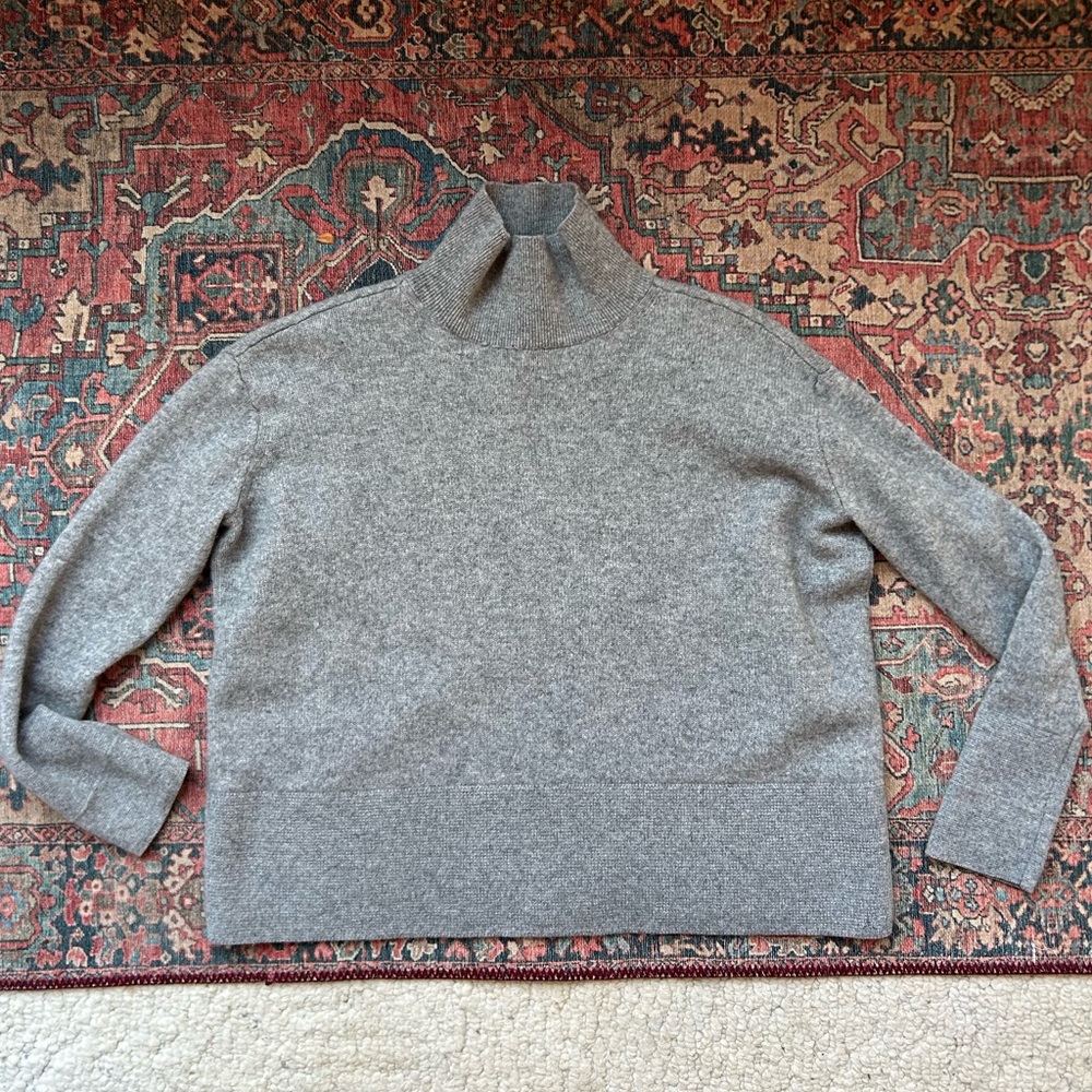 Everlane Cashmere Turtleneck Sweater